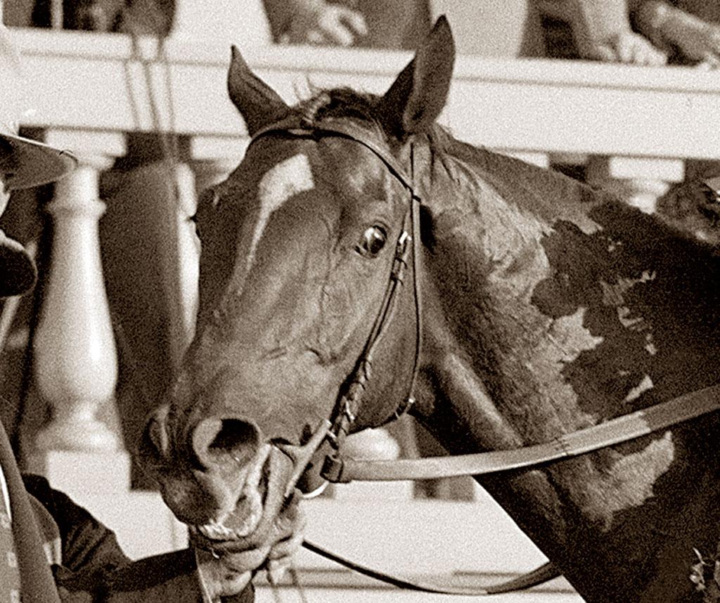 Whirlaway