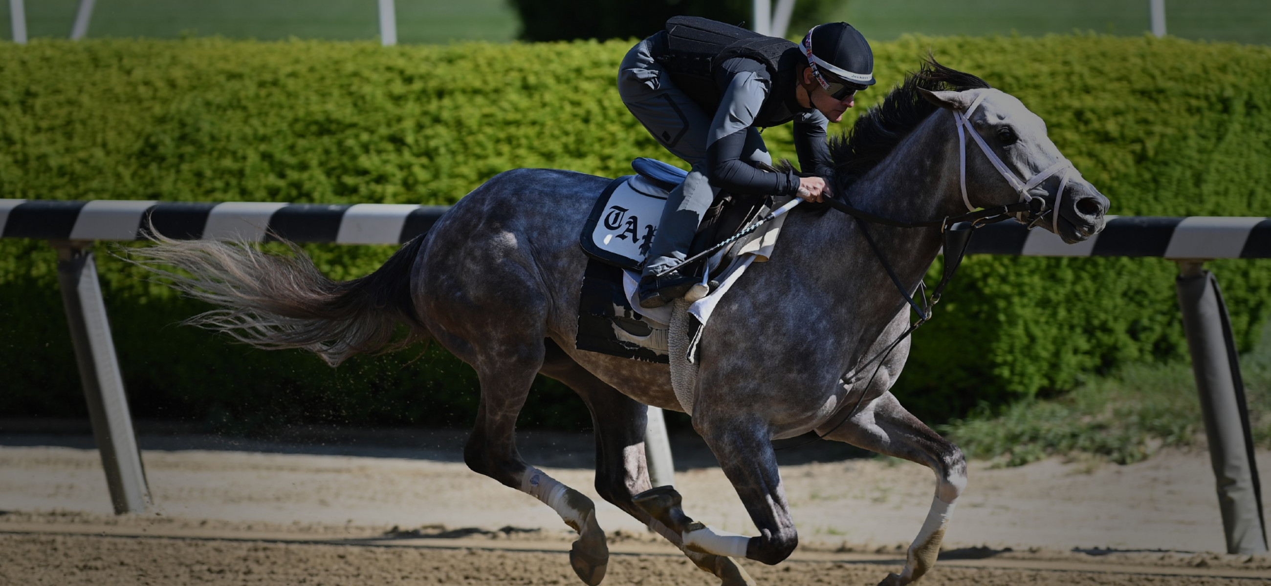 Photo of Tapit Trice