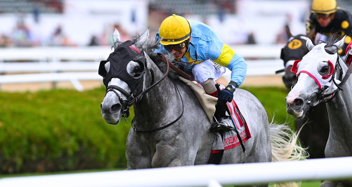 The Grey Wizard wins allgray threeway photo in G2 Belmont Gold Cup